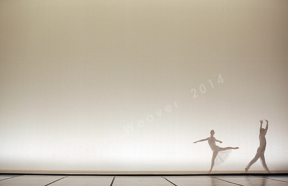 Bard Summerscape, Pam Tanowitz Dance Company