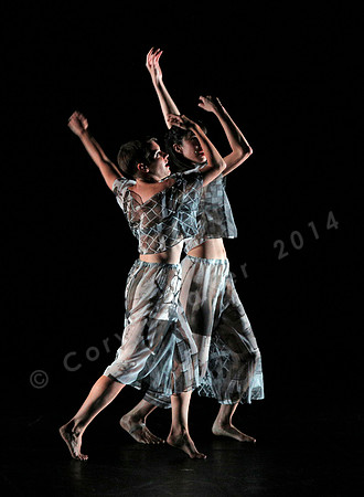 Proscenium Works: 1979–2011 Trisha Brown Dance Company