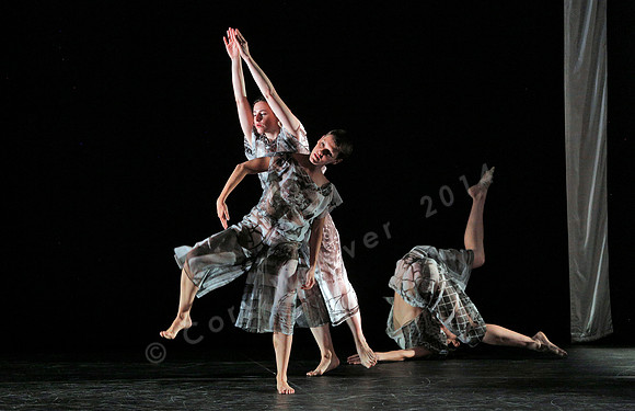 Proscenium Works: 1979–2011 Trisha Brown Dance Company