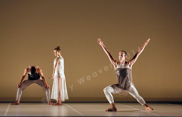 Bard Summerscape, Pam Tanowitz Dance Company