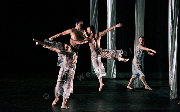 Proscenium Works: 1979–2011 Trisha Brown Dance Company