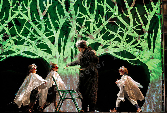 West Edge Opera, Cunning Little Vixen