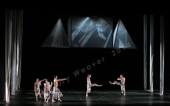 Proscenium Works: 1979–2011 Trisha Brown Dance Company