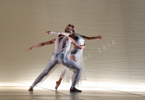 Bard Summerscape, Pam Tanowitz Dance Company