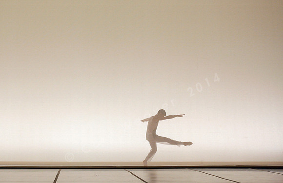 Bard Summerscape, Pam Tanowitz Dance Company