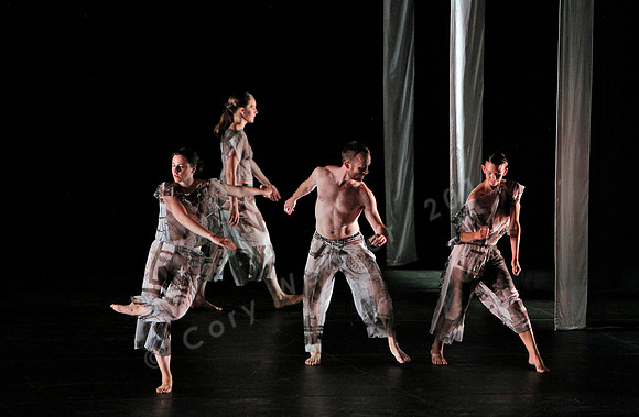 Proscenium Works: 1979–2011 Trisha Brown Dance Company