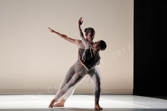 Bard Summerscape, Pam Tanowitz Dance Company