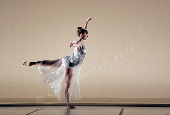 Bard Summerscape, Pam Tanowitz Dance Company