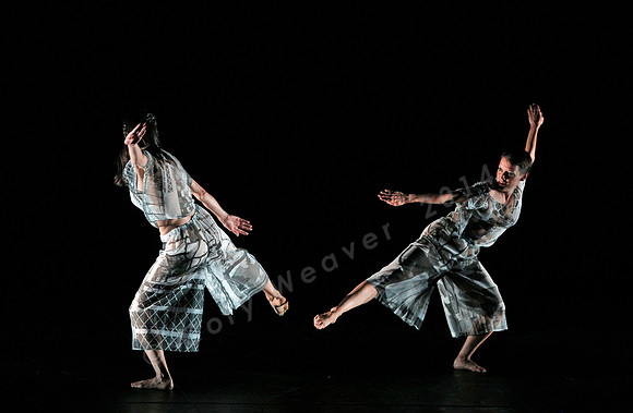 Proscenium Works: 1979–2011 Trisha Brown Dance Company