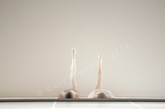 Bard Summerscape, Pam Tanowitz Dance Company