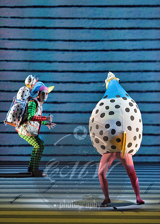 San Francisco Opera, Magic Flute