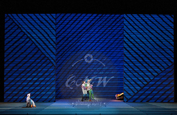 San Francisco Opera, Magic Flute