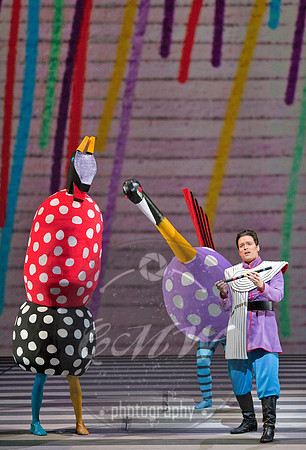 San Francisco Opera, Magic Flute