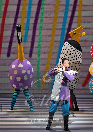 San Francisco Opera, Magic Flute