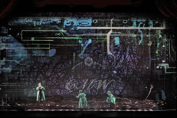 San Francisco Opera, The Ring Cycle, Gotterdammerung