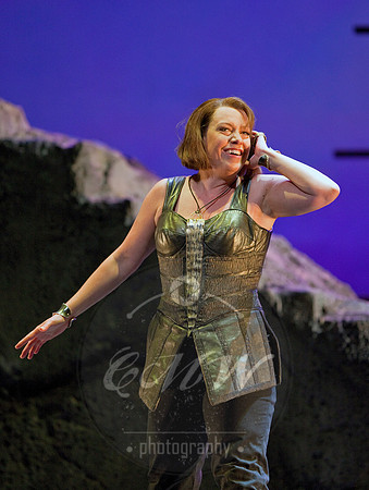 San Francisco Opera, The Ring Cycle, Gotterdammerung