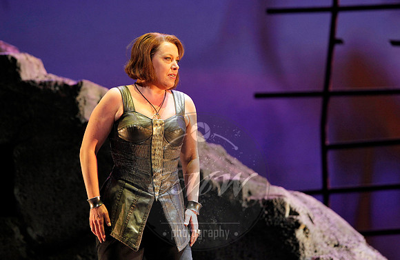 San Francisco Opera, The Ring Cycle, Gotterdammerung