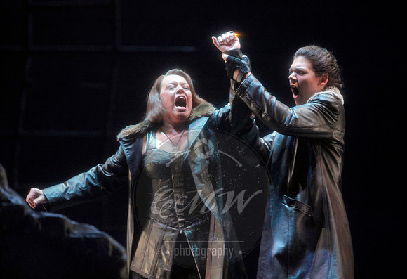 San Francisco Opera, The Ring Cycle, Gotterdammerung