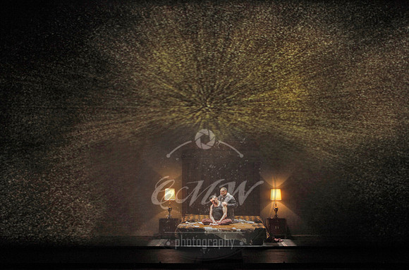 San Francisco Opera, The Ring Cycle, Gotterdammerung