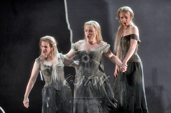 San Francisco Opera, The Ring Cycle, Gotterdammerung