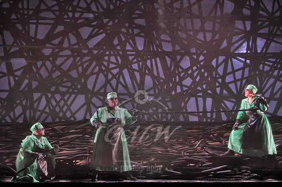 San Francisco Opera, The Ring Cycle, Gotterdammerung