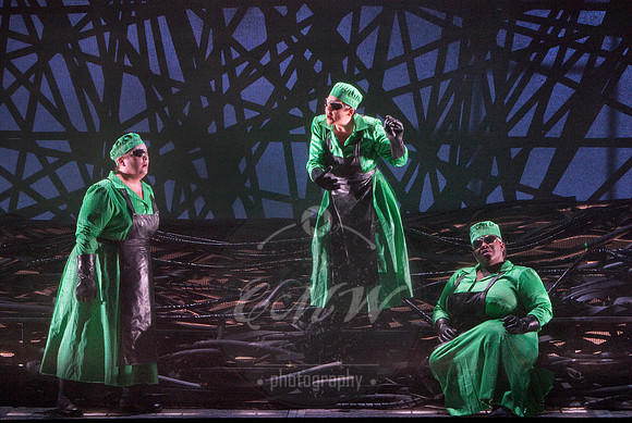 San Francisco Opera, The Ring Cycle, Gotterdammerung