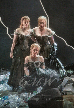 San Francisco Opera, The Ring Cycle, Gotterdammerung