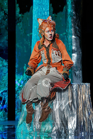 Des Moines Metro Opera, The Cunning Little Vixen