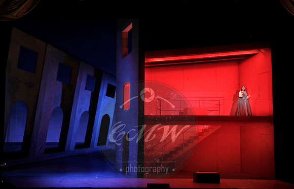 San Francisco Opera, Rigoletto 2017