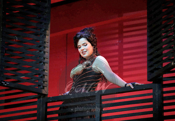 San Francisco Opera, Rigoletto 2017