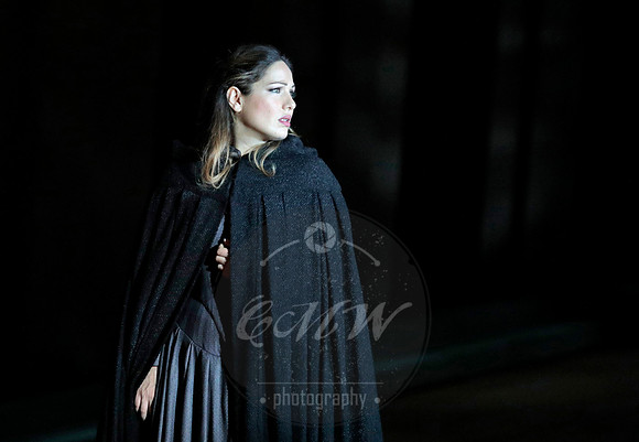 San Francisco Opera, Rigoletto 2017