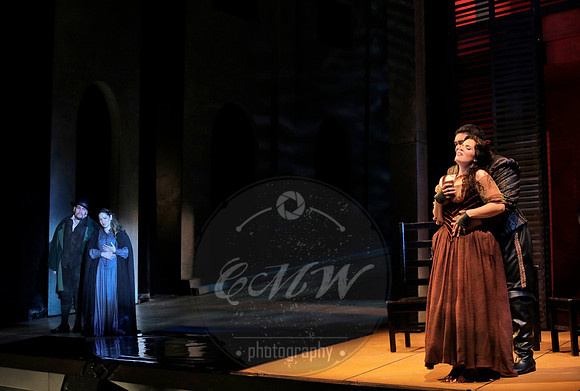 San Francisco Opera, Rigoletto 2017