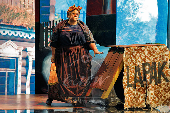 Des Moines Metro Opera, The Cunning Little Vixen