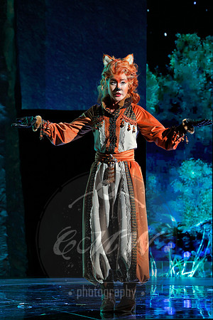 Des Moines Metro Opera, The Cunning Little Vixen