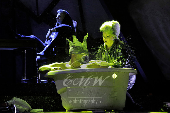 West Edge Opera, Hamlet