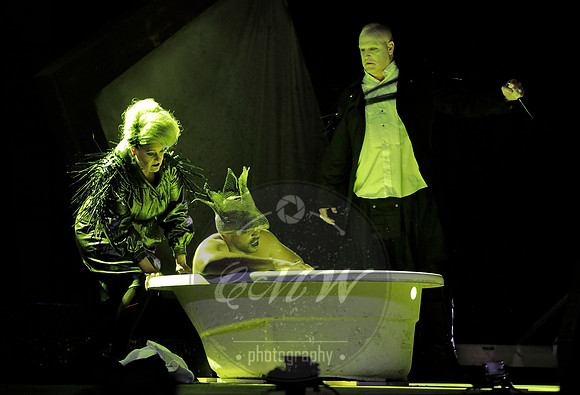 West Edge Opera, Hamlet