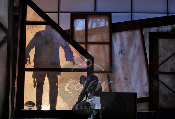 West Edge Opera, Hamlet