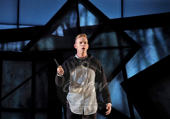 West Edge Opera, Hamlet