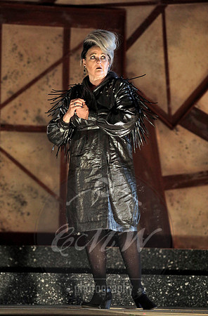 West Edge Opera, Hamlet
