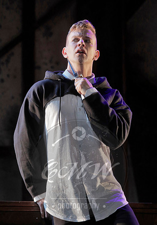 West Edge Opera, Hamlet