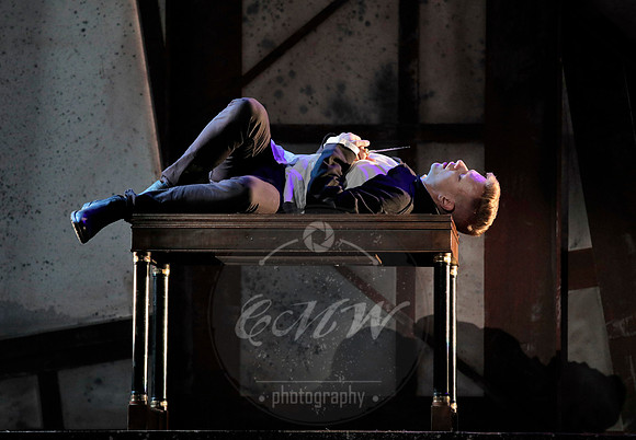 West Edge Opera, Hamlet