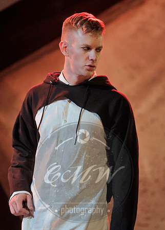 West Edge Opera, Hamlet
