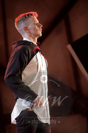 West Edge Opera, Hamlet