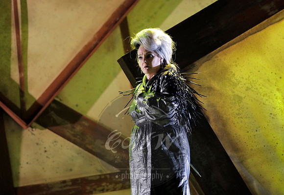 West Edge Opera, Hamlet