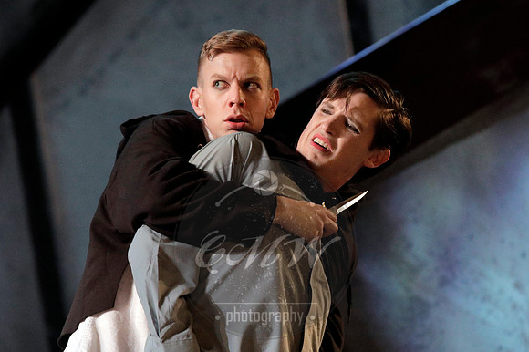West Edge Opera, Hamlet