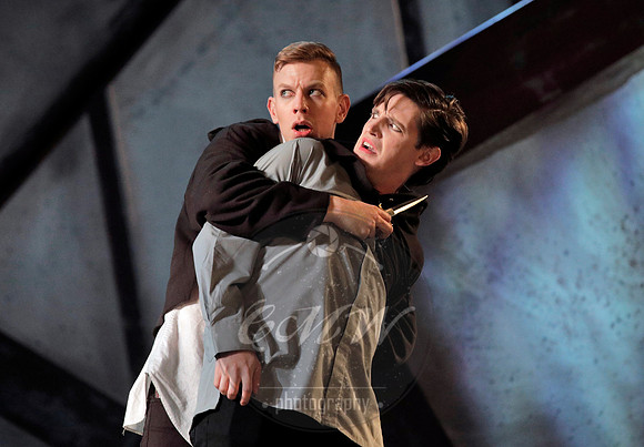 West Edge Opera, Hamlet
