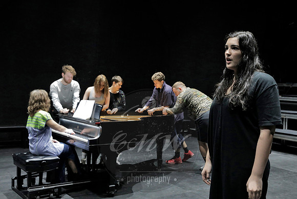 Curtis Institute of Music, Impressions of Palleas