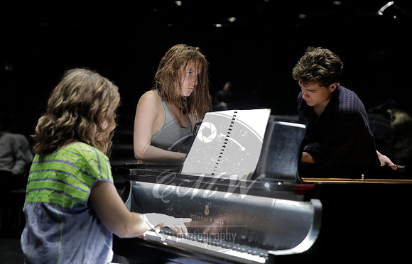 Curtis Institute of Music, Impressions of Palleas