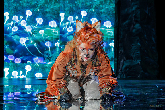Des Moines Metro Opera, The Cunning Little Vixen