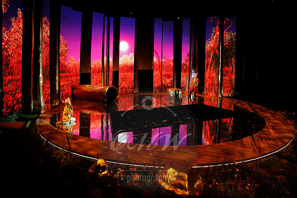 Des Moines Metro Opera, The Cunning Little Vixen